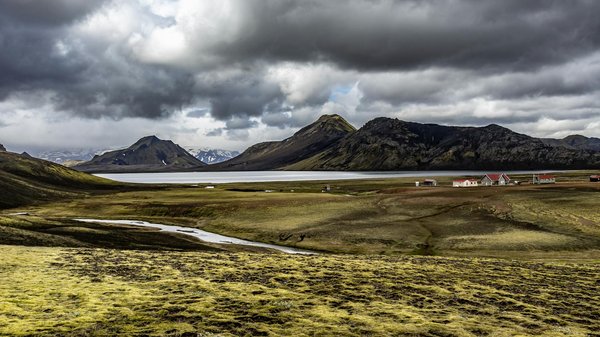 Pourquoi la présence d'un cardiologue est cruciale pour la santé des seniors : explorez les enjeux essentiels