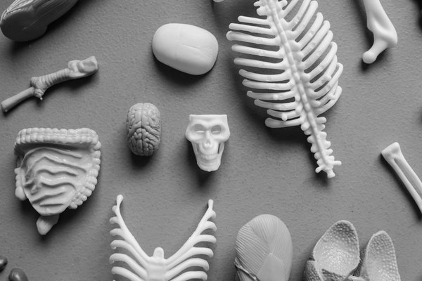 Trouvez des options de chanvre abordable sans sacrifier la qualité